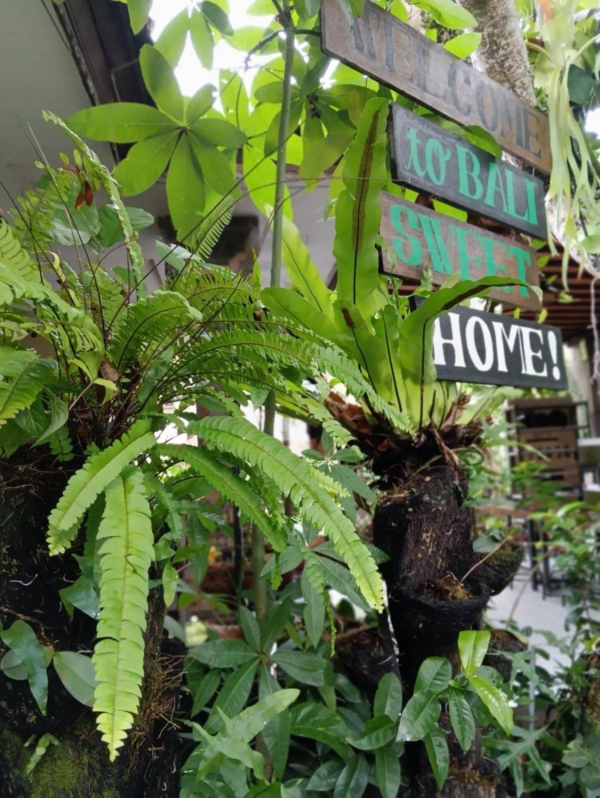 Coliving Bali Sweet Home Kost Lengkap Di Tabanan Kota Exterior photo